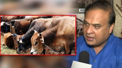 Beef not to be sold within 5 km radius of temple, Himanta govt bill introduced in Assam