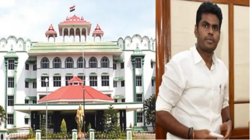'Annamalai is a vigilant watchdog of democracy..,' why did Madras HC praise BJP leader?