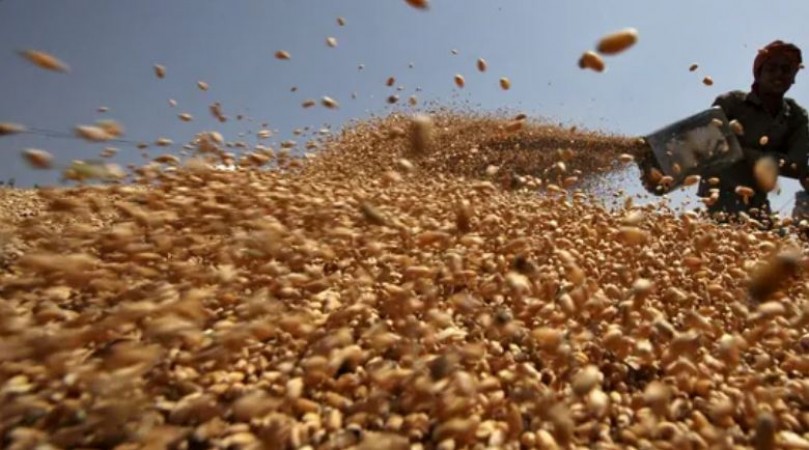 Centre to offload 20 lakh tonnes more wheat in OMSS to cut prices