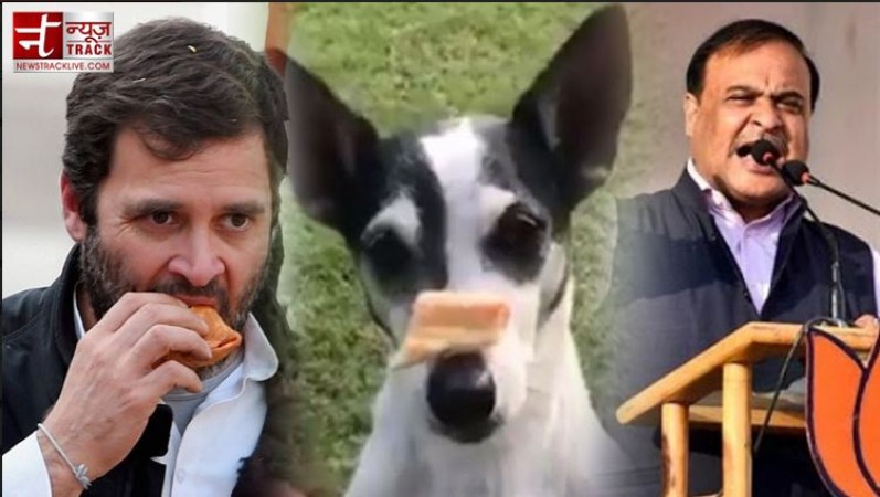 'जब एक ही प्लेट से खा रहे थे कांग्रेस नेता और राहुल गांधी का कुत्ता', हिमंत सरमा ने सुनाया किस्सा