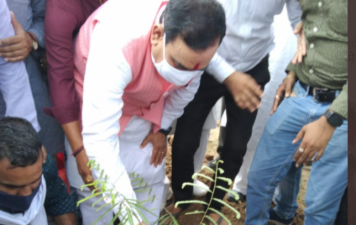 MP: Minister Narottam Mishra plants saplings under 'Ankur scheme'