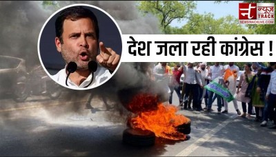 'Don't question Rahul Gandhi...', Congress workers on the streets,