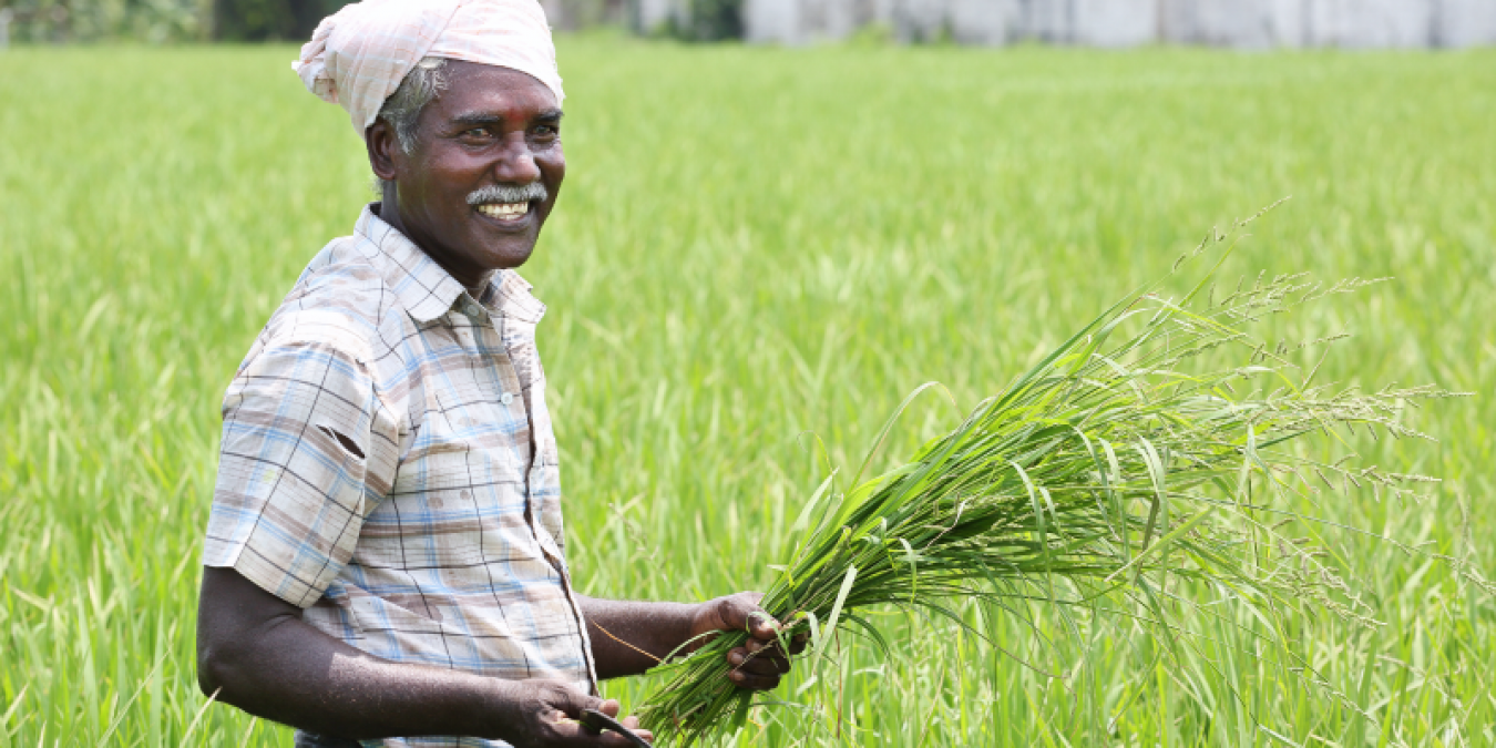 Madhya Pradesh: Debt of repayment increased, farmers breath a sigh of relief