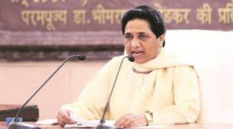 Why did BSP chief Mayawati tell the government to be pro-capitalist?
