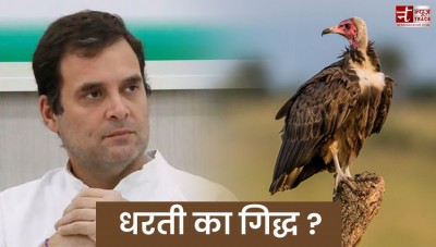 Why did Union Health Minister Dr. Harsh Vardhan called Rahul Gandhi the 'vulture of the earth'?
