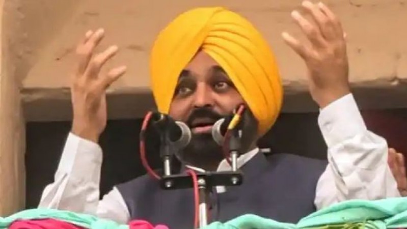 AAP govt in 'dock' after Sidhu's murder, high court judge to conduct probe, also take exception to security removal