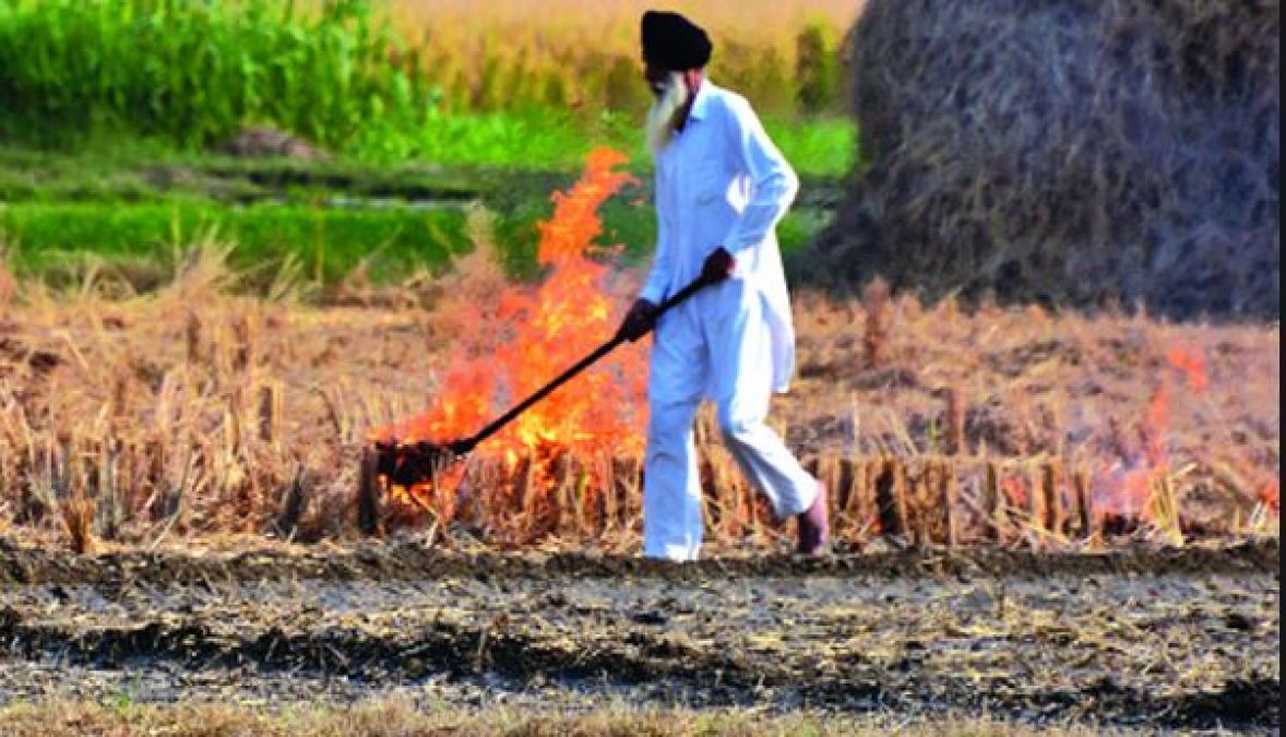 Kejriwal Government's big announcement, Electricity will be generated in Delhi's fields