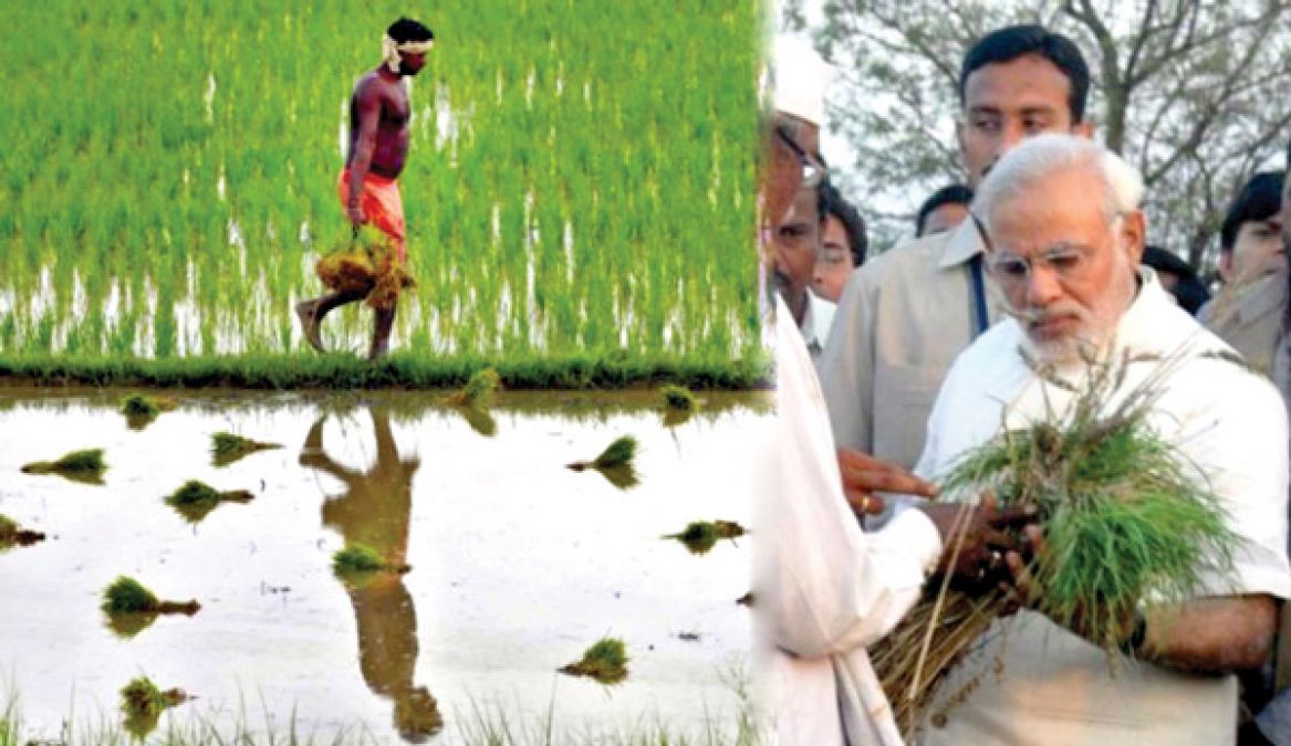 Jharkhand gets second place in Pradhan Mantri Kisan Manadhan Yojana, CM Raghubar congratulated farmers