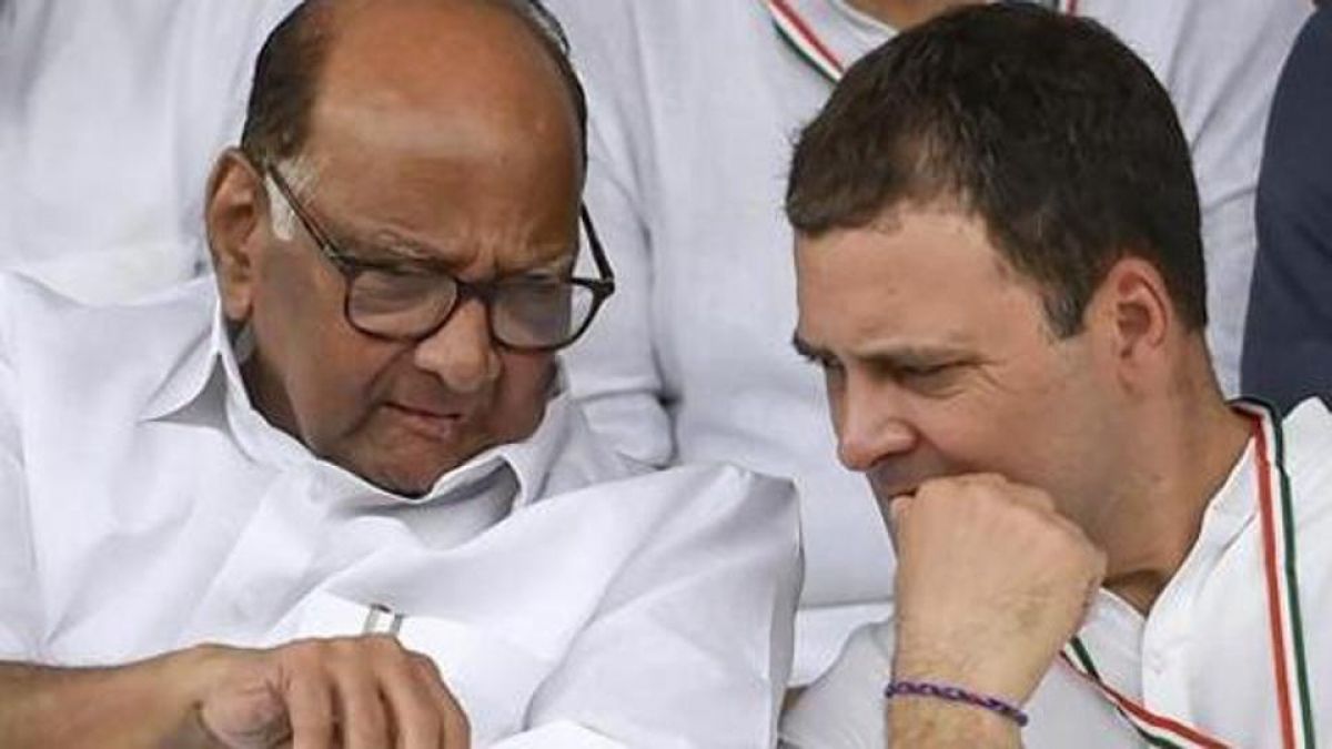 Rahul Gandhi will enter the assembly elections, know the program