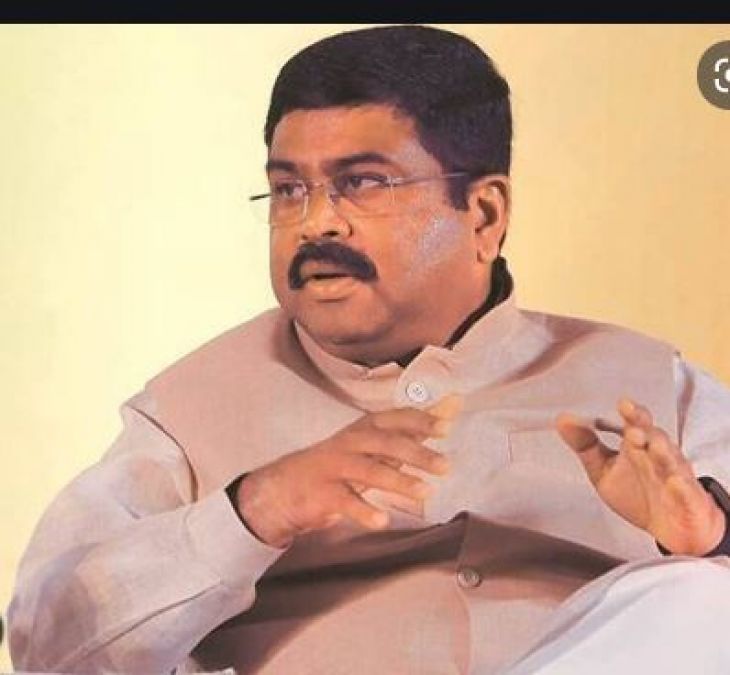 There should be rule of law in the country: Dharmendra Pradhan