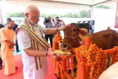 Modi government's big step towards strengthening the economy, money to come from livestock