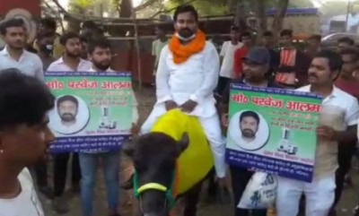 Bihar Election: Candidate from Gaya campaigns sitting on buffalo, arrested
