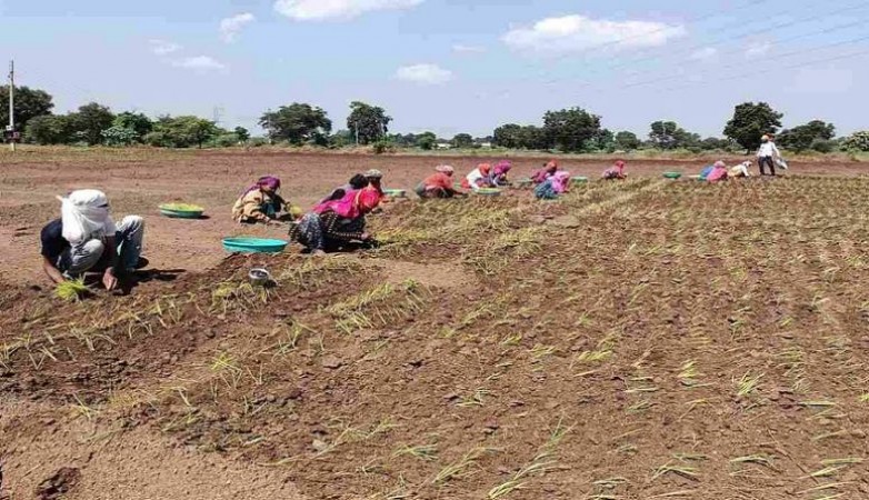 बाढ़ प्रभावित 4 जिलों के किसानों को 546 करोड़ रुपए देगी गुजरात सरकार