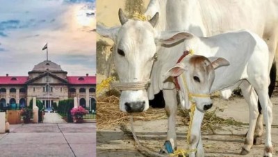 गाय को घोषित करो राष्ट्रीय पशु, गौरक्षा हिन्दुओं का मूलभूत अधिकार - इलाहाबाद हाई कोर्ट