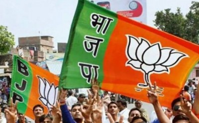 In Rajasthan district major elections, BJP waved the winning flag, lotus blossomed on 3 seats