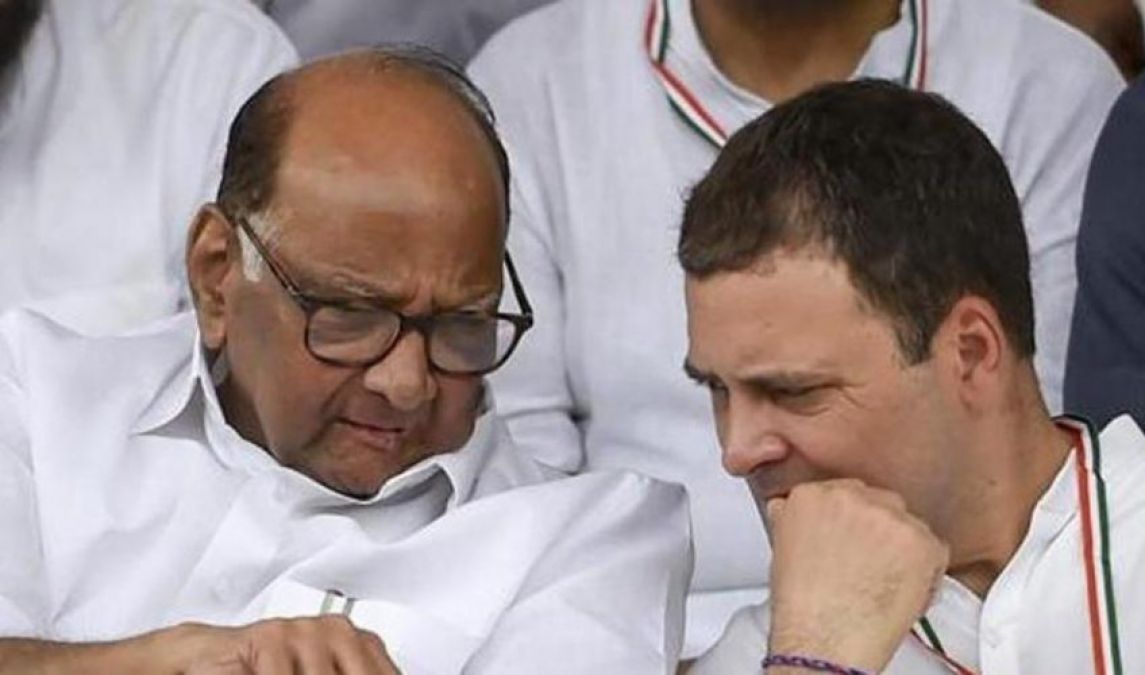 Maharashtra assembly elections: Meeting between Sonia Gandhi and Sharad Pawar, know what happened