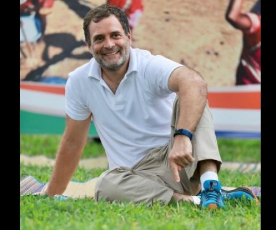Rahul Gandhi not ready to be Congress President, who will take over party command?