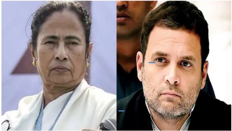 'राहुल गाँधी विकसित नहीं..मोदी को हरा नहीं सकते..', विपक्षी एकता की अटकलों के बीच कांग्रेस पर TMC की राय