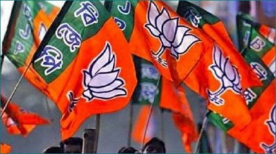 मप्र राज्यसभा चुनाव : BJP उम्मीदवार की घोषणा, उतारा नया चेहरा