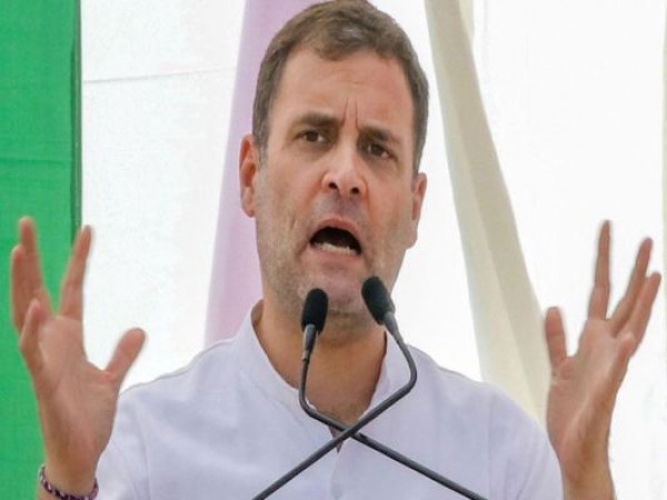 Modi government making farmers shed tears of blood: Rahul Gandhi