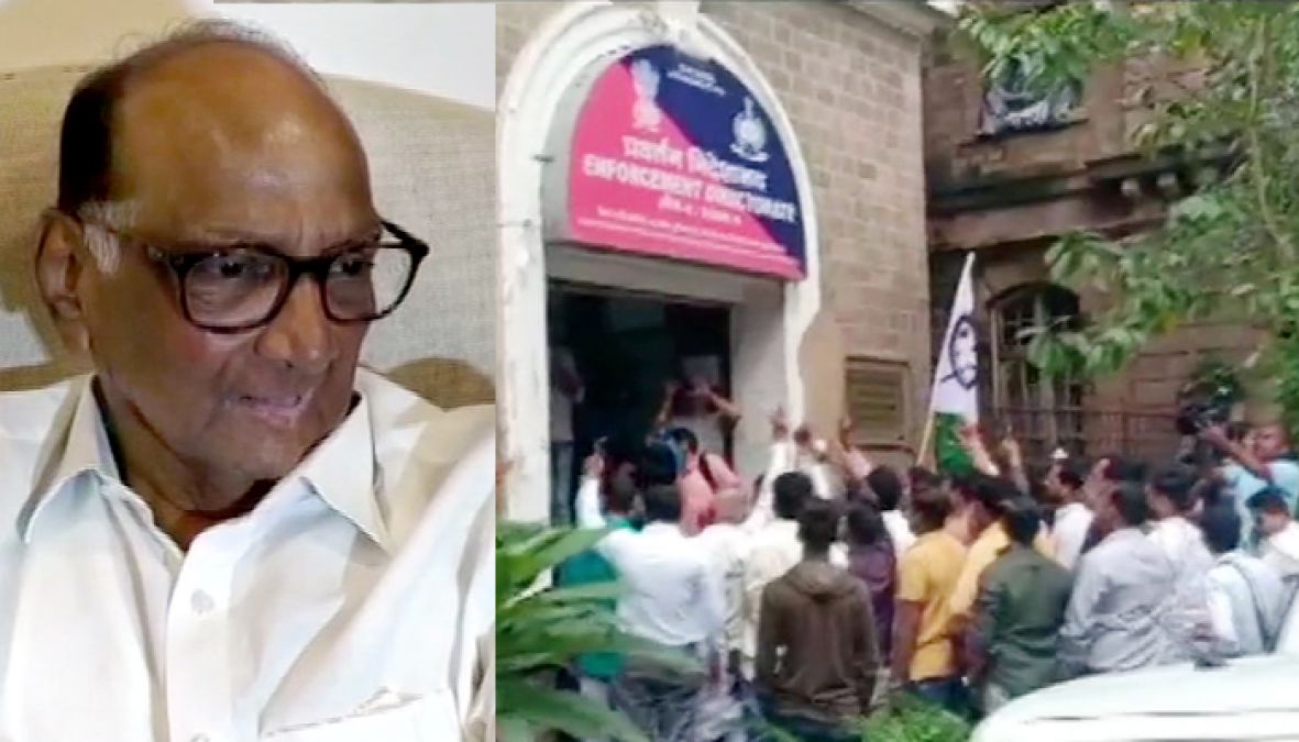 Money laundering case: NCP workers protest outside ED office against investigation