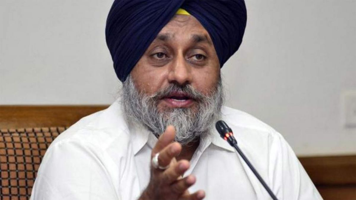 Big announcement of Shiromani Akali Dal, to contest Haryana Assembly elections on its own