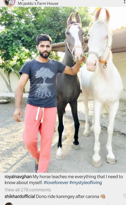 Ravindra Jadeja shares photos with his horse amid lockdown