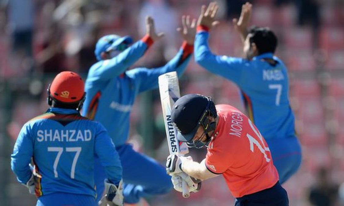 World Cup 2019: England to take on Afghanistan today