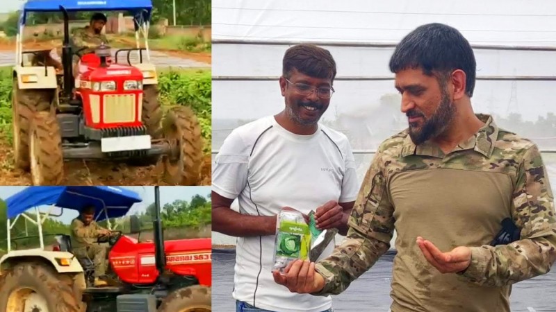 Mahendra Singh dhoni opens retail counter for vegetables know his other side businesses