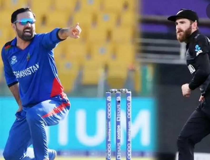 World Cup: न्यूजीलैंड VS अफगानिस्तान की टक्कर पर टिका भारतीय टीम का भविष्य