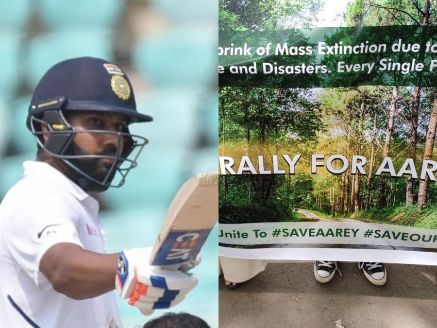 टीम इंडिया के इस दिग्गज क्रिकेटर ने आरे कॉलोनी के पेड़ों की कटाई पर जताया दुख