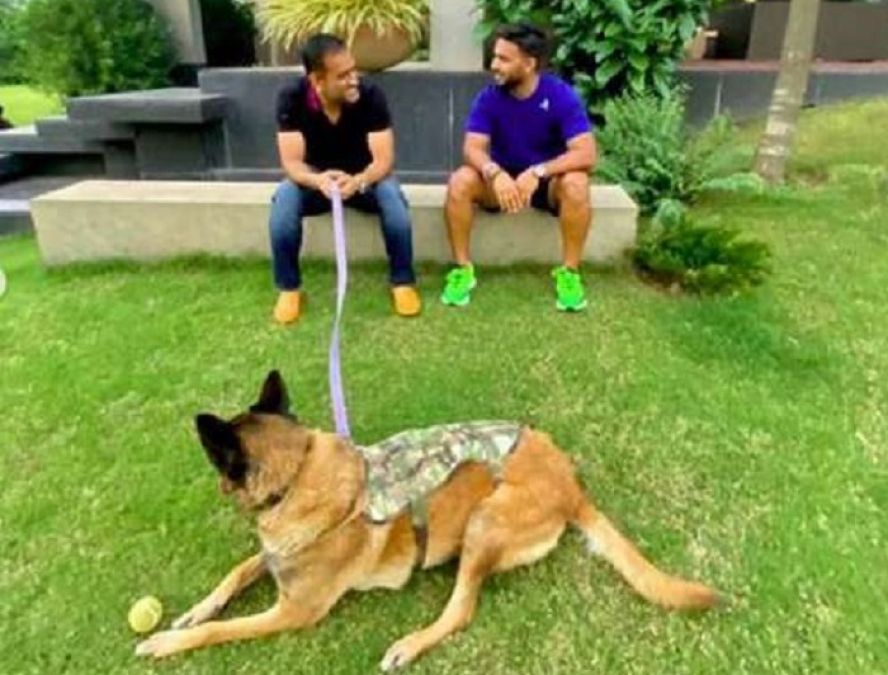 Rishabh Pant arrives at Dhoni's house to learn the tips and tricks of cricket, photo gets surfaced