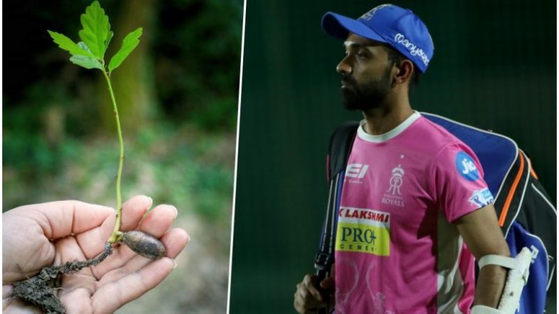 IPL 2018: Rajasthan Royals launches ‘Go Green’ initiative