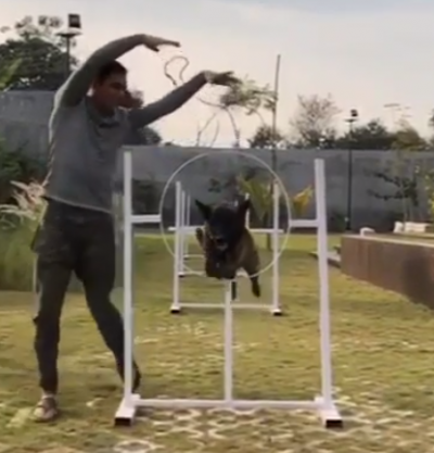 MS Dhoni trains his dog, video gets viral on Internet