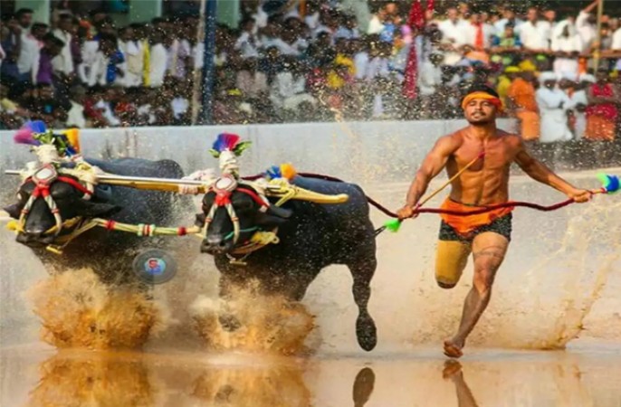 Nishant Shetty breaks Srinivasa Gowda's record in Kambala Racing