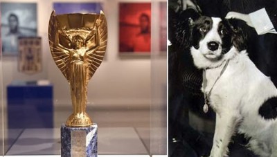 जब चोरी हो गई थी FIFA वर्ल्ड कप की वो सुनहरी ट्रॉफी, तब इस कुत्ते ने किया था कमाल