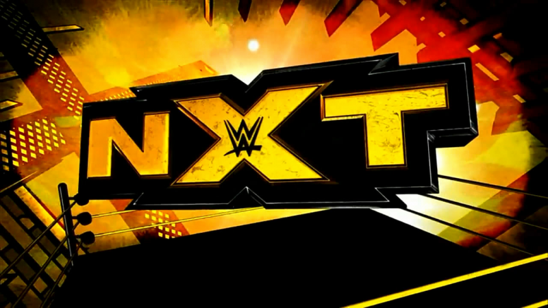 WWE के ये 5 सुपरस्टार जिन्हे NXT में जाने से हो सकता काफी फायदा