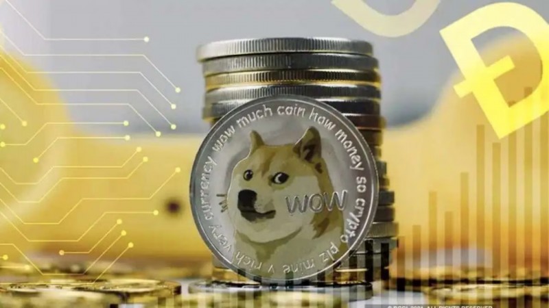 Meme Crypto Mania: Doge, Shiba Inu, and Pepe Fuel Frenzied Surge in Search for Digital Riches