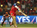 IPL-8 : रॉयल चैलेंजर्स ने हैदराबाद को 6 विकेट से हराया