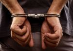 डिज्नीलैंड में एक युवक को पुलिस ने दो बंदूक के साथ किया गिरफ्तार