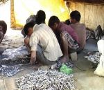 यूपी में बच्चों को मौत के मुंह में झोंककर किया जा रहा बारूद का काला कारोबार