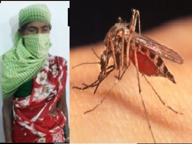 मच्छर ने पकड़वाई 5 लाख की इनामी महिला नक्सली