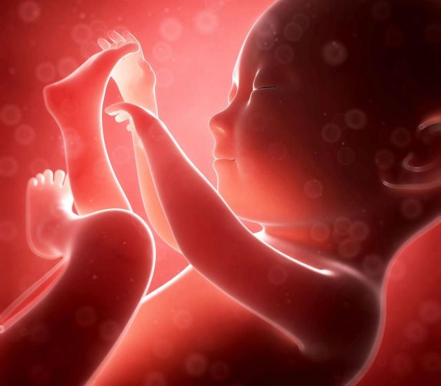 अब जेनेटिक लैब में होगी भ्रूण की बीमारियों की जांच