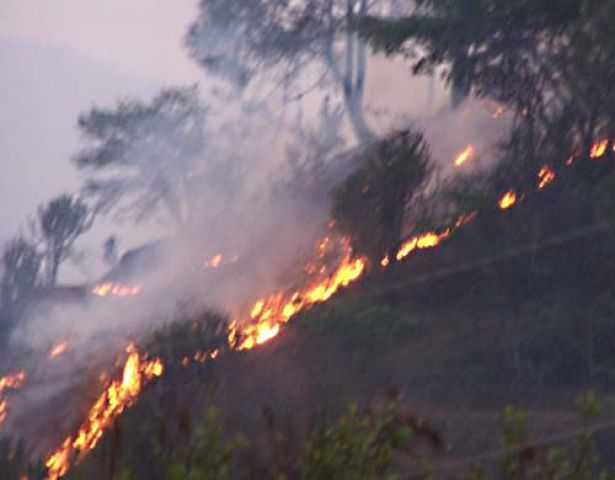 गर्मी से उत्तराखंड के जंगलों में आग, कई लोगों की मौत, हाई अलर्ट जारी