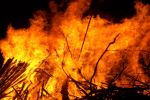 जंगल की आग में झुलसे जीप सवार, 7 लोग व एक महिला की हालत गम्भीर