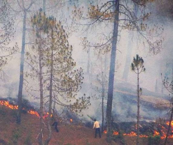 उत्तराखंड के जंगलों में लगी आग से 1600 हेक्टेयर जंगल खाक