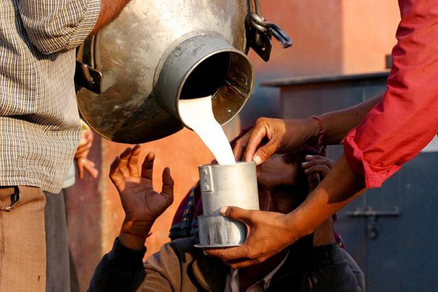गुजरात में दूध उत्पादन पर भी बाढ़ का कहर,एक लाख मवेशियों की मौत