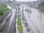अंचल में लगातार बारिश से जनजीवन प्रभावित, रतलाम में ट्रैक पर पानी भरा होने से ट्रेनें प्रभावित