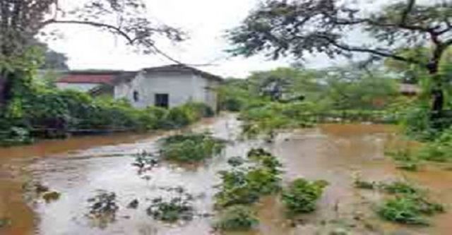 नहर के पानी ने मचाई  , पुरे गांव में दहशत: पलारी