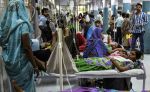 दिल्ली में डेंगू का डंक, चिकनगुनिया से बढ़ी चिंता